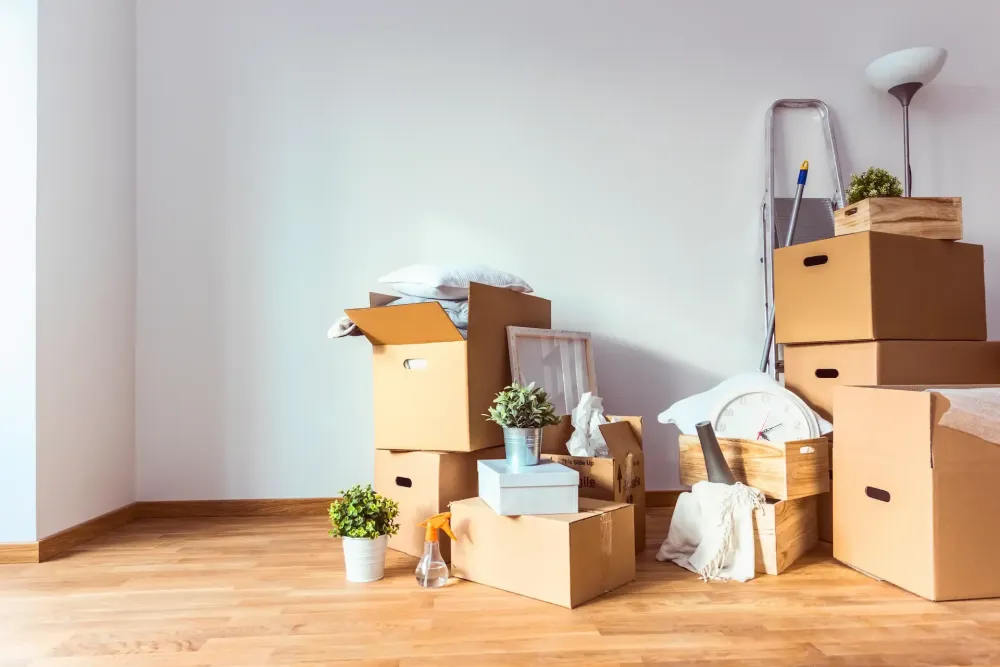 carton-faq